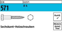 DIN 571 Edelstahl A4