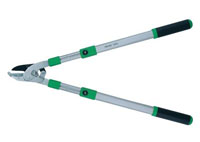 Baum- und Strauchschnitt