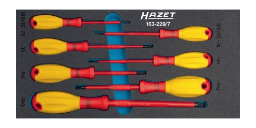 Werkzeugmodul 163-229/7 7-tlg.Anz.Werkzeuge:7 HAZET