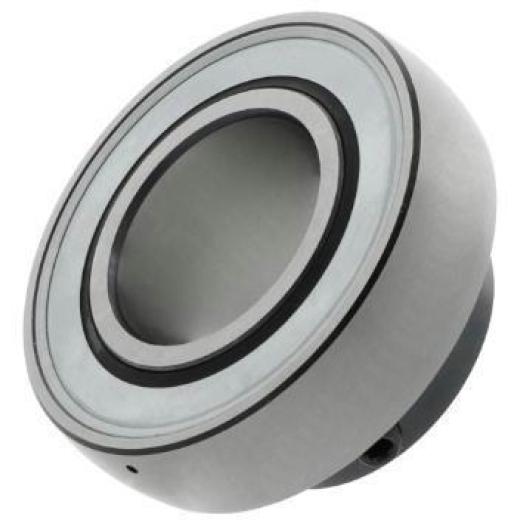 Spannlager GAY60 -NPP-B - ID 60 mm AD 110 mm Breite 47 mm INA