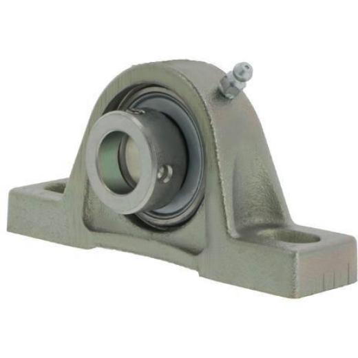 Stehlager-Gehäuseeinheit PASE20 -XL-N-FA125 20 mm Exzenterspannring INA