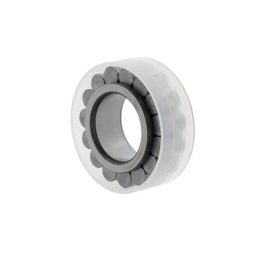 Zylinderrollenlager RSL183005 - ID 25 mm AD 42,51 mm Breite 16 mm INA