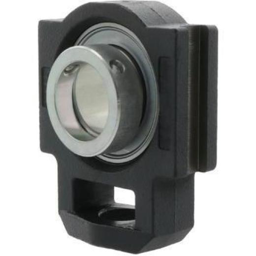 Spann-Gehäuseeinheiten PTUE20 -TV-FA125.5 20 mm INA