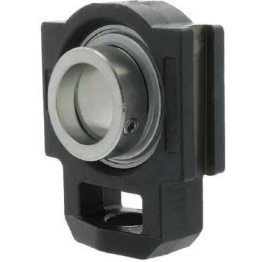 Spann-Gehäuseeinheit TTUE75 75 mm INA