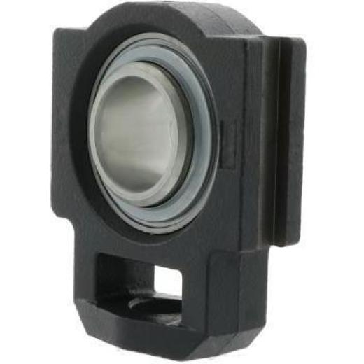 Spann-Gehäuseeinheiten RTUE30 30 mm INA