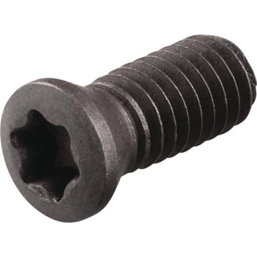 Spannschraube WS0620-S4 TECWERK