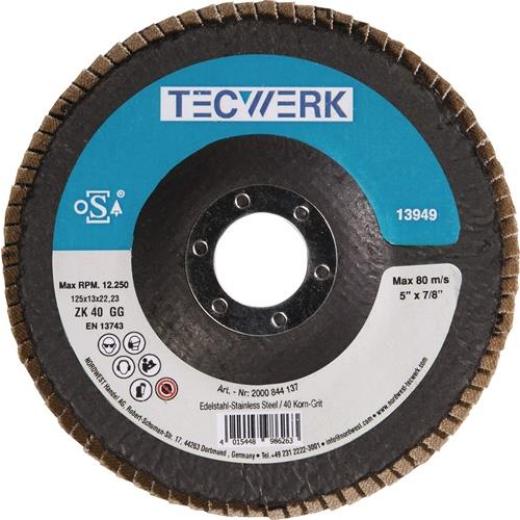 Fächerscheibe Action D.125mm K.80 kon.INOX ZK TECWERK | 10 Stück