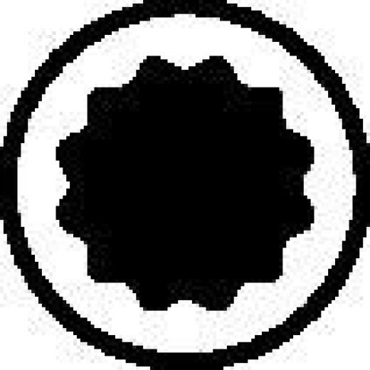 Steckschlüsseleinsatz INX 19 1/2 Zoll Innen-Vielzahn M10 L.55mm GEDORE