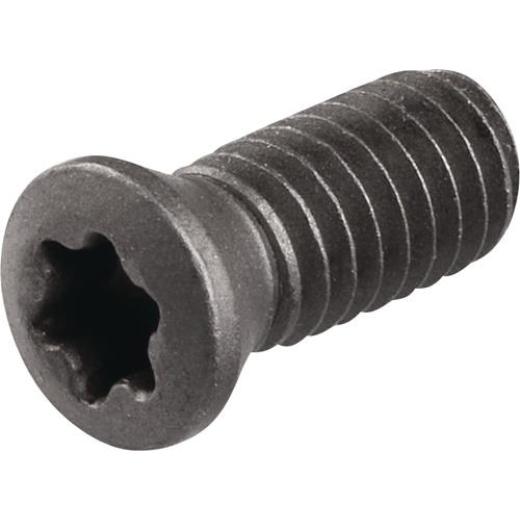 Spannschraube WS0410 Gr.T15 TECWERK