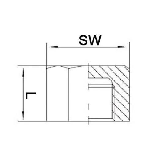 Kappe EN 10226-1 NPS=1 Zoll 8-kant L 22mm SPRINGER | 10 Stück