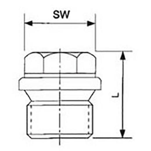 Verschlussschraube DIN 910 ISO 228-1 NPS=1/4 Zoll AG L 21mm SPRINGER | 10 Stück