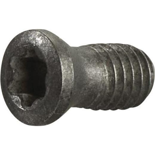 Spannschraube Gr.T15 TECWERK