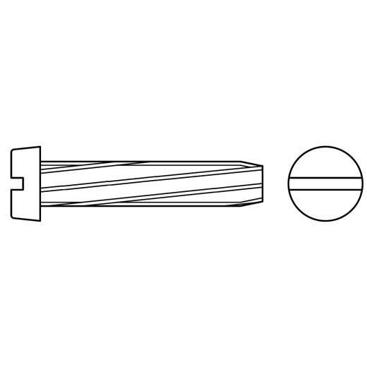 Zylinder-Schneidschrauben mit Schlitz | DIN 7513 | BM 5 x 10 | 1000 Stück