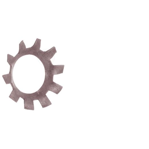 Zahnscheiben, außengezahnt DIN 6797 | Austenitischer Federstahl (z.B. 1.4310) | A 8.4 | 1000 Stück