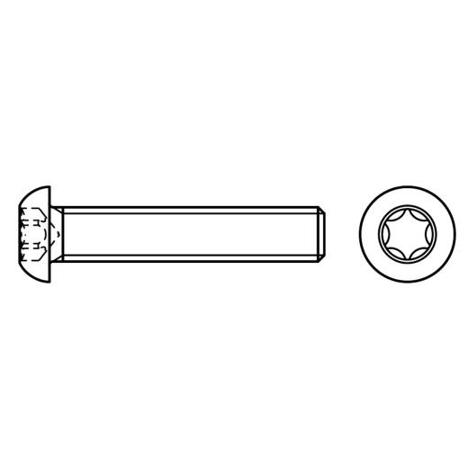 Flachkopfschrauben ISR | ~ISO 7380-1 | M 4 x 45 -T20  | 200 Stück