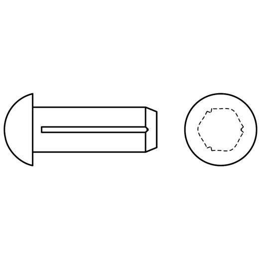 Halbrundkerbnägel mit Fase | ISO 8746 Form A | 2,5 x 8 | 100 Stück