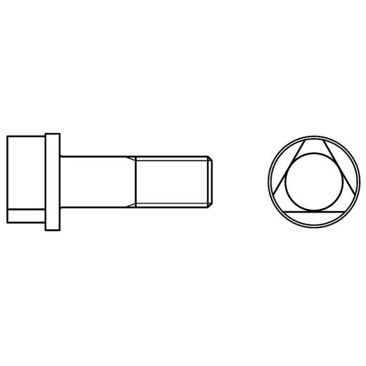 DIN 22424 Dreikantschrauben, mit Vollschaft Abmessung | AM 10 x 30 | 100 Stück