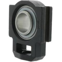 Spann-Gehäuseeinheiten RTUE30 30 mm INA