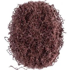 Schleifvliesscheibe POLINOX D.40mm medium 100 braun PFERD | 100 Stück