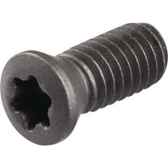 Spannschraube WS0410 Gr.T15 TECWERK