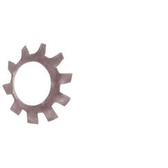 Zahnscheiben, außengezahnt DIN 6797 | Austenitischer Federstahl (z.B. 1.4310) | A 10.5 | 100 Stück