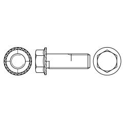 Flanschschrauben | Stahl 10 zinklamellenbeschichtet | M 10 x 20 mm | 200 Stück