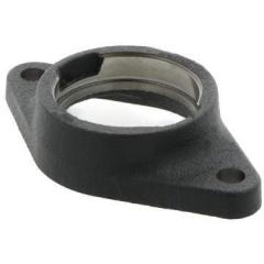 Flanschlagergehäuse GEHCJT12 -GG-N 110 mm oval INA