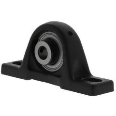 Stehlager-Gehäuseeinheiten RASEY45 45 mm Gewindestifte INA