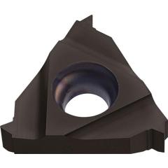 Wendeschneidplatte 16ER200 ISO PK30 re.Außen TECWERK | 2 Stück