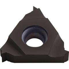 Wendeschneidplatte 16IR175 ISO PK30 re.Innen TECWERK | 2 Stück