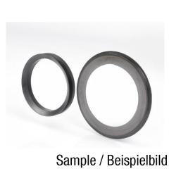 Gehäusedichtung SC224 .FSS - ID 120 mm SNR