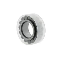 Zylinderrollenlager RSL182220 - ID 100 mm AD 162,81 mm Breite 46 mm INA