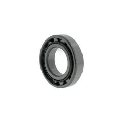 Zylinderrollenlager N209 - ID 45 mm AD 85 mm Breite 19 mm NACHI