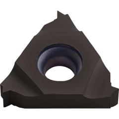 Wendeschneidplatte 16IR250 ISO PK30 re.Innen TECWERK | 2 Stück