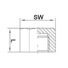 Kappe EN 10226-1 NPS=1 Zoll 8-kant L 22mm SPRINGER | 10 Stück