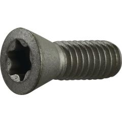 Spannschraube Gr.T20 f.TCMT 16/SCMT 12 z.Fasenfräser TECWERK