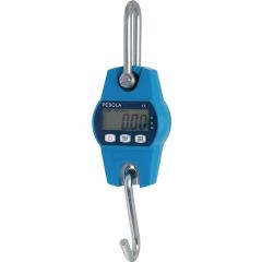 Hängewaage Heavy-Duty 100kg PESOLA