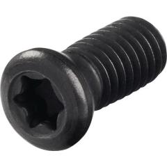 Spannschraube WS0512 Gr.T20 PROMAT