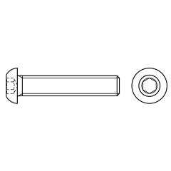 Flachkopfschrauben mit Innensechskant | ISO 7380-1 | M 3 x 30  | 500 Stück