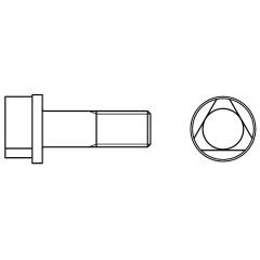 DIN 22424 Dreikantschrauben, mit Vollschaft Abmessung | AM 8 x 30 | 100 Stück