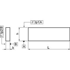 Parallelunterlagenpaar DIN 6346P H25xB8xL100mm Superpräzision AMF